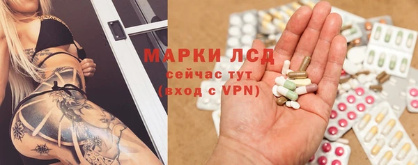 шишки Абинск