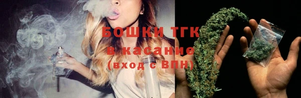 шишки Абинск