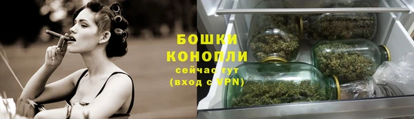 ECSTASY Инта