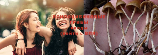 шишки Абинск