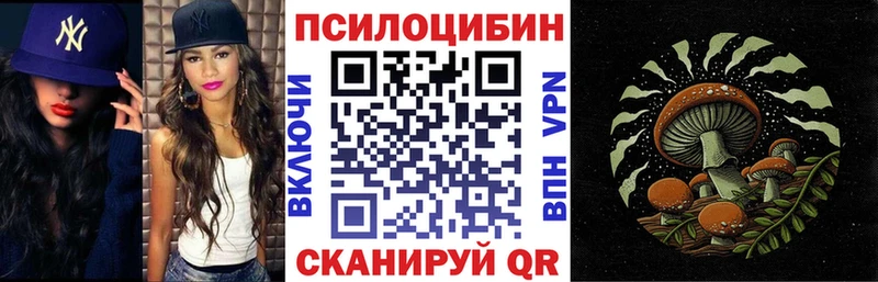 где можно купить наркотик  Таштагол  Галлюциногенные грибы GOLDEN TEACHER 